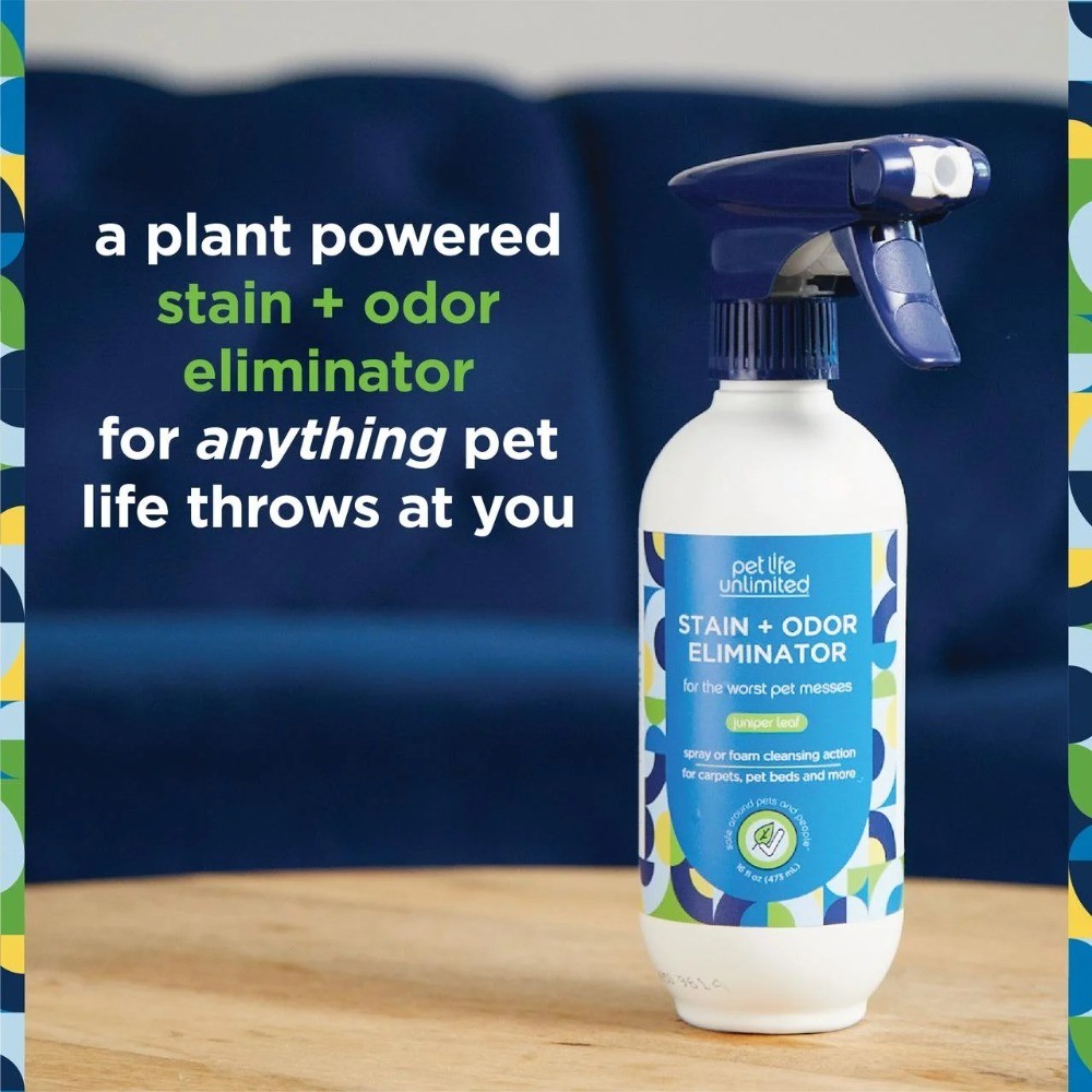 Pet Stain & Odor Remover Foaming, Juniper Leaf, 16 fl oz