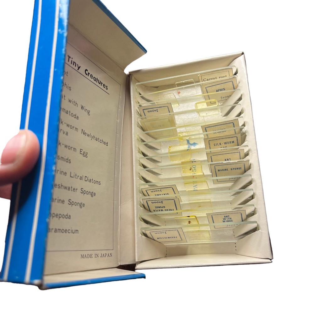 Vintage MICROSCOPE PREPARED SLIDES~2 Sets Vegetables & Tiny Creatures~Made Japan