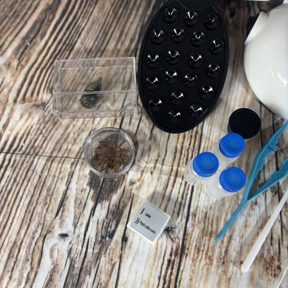 The Thames & Kosmos Microscope Essential STEM Tool with Smartphone Adapter Bugs