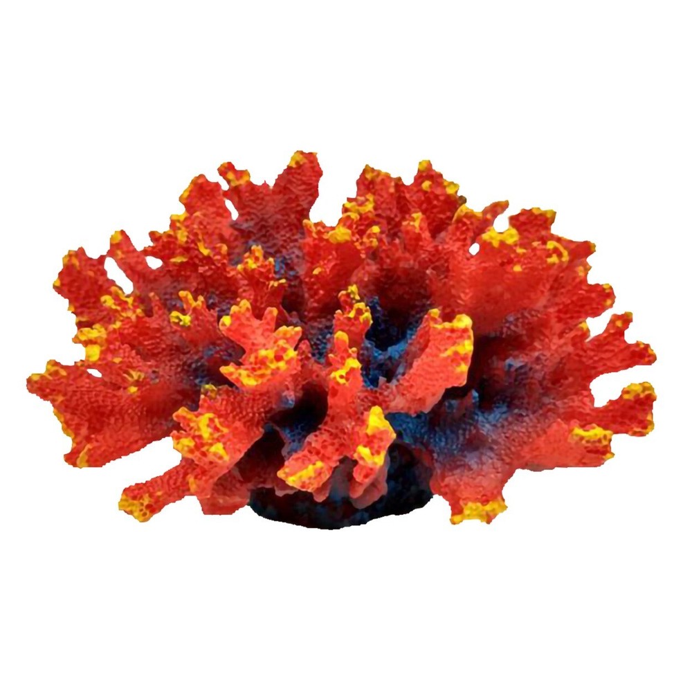 RA Aussie Branch Coral - Red