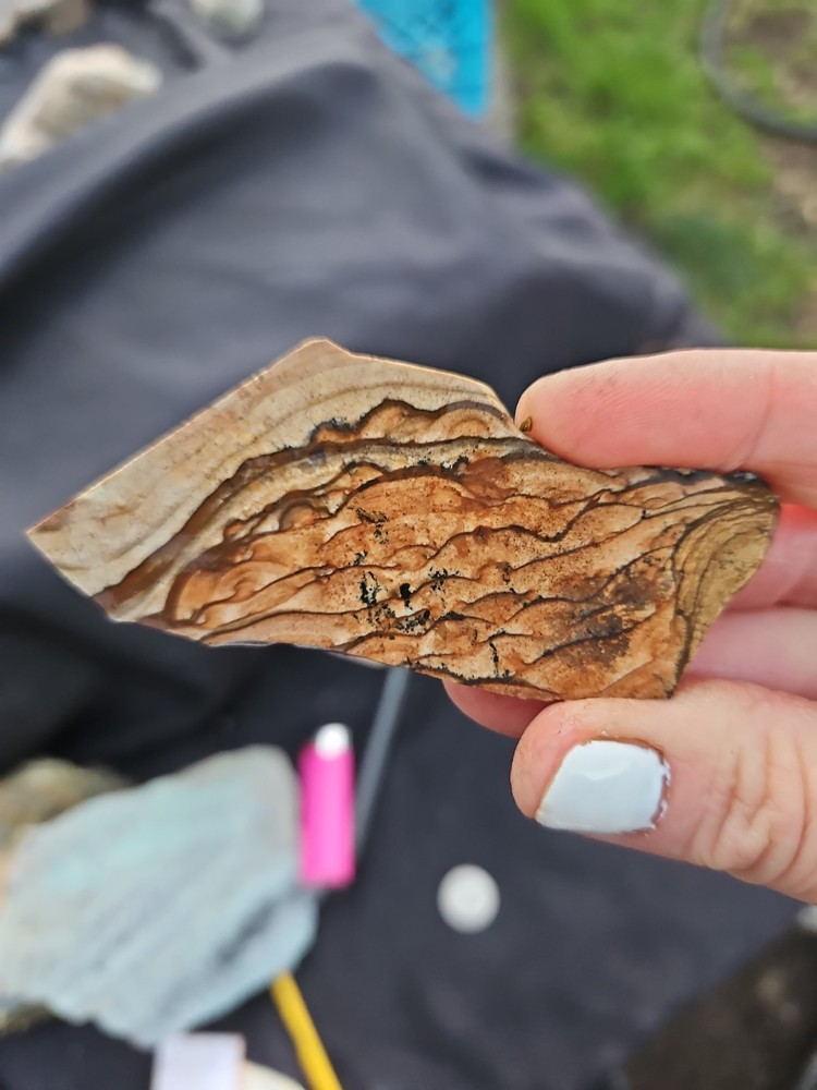 Biggs Jasper Slab (122 grams)