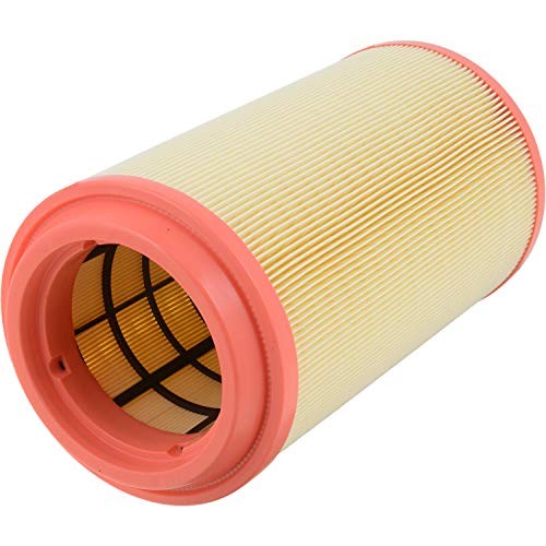 Extra Guard CA11950 Replacement Engine Air Filter for Select Ram One Size