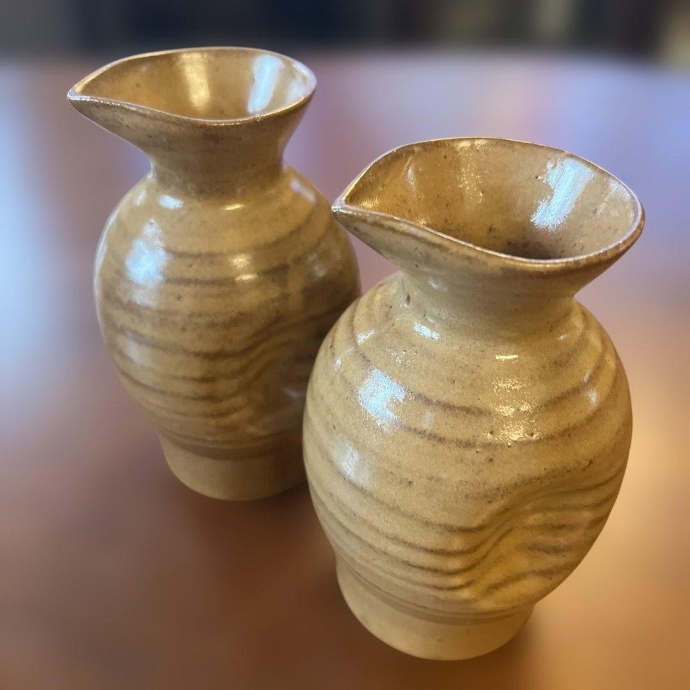 Ceramic sake bottle and sake cup set Iwakuni Tada ware