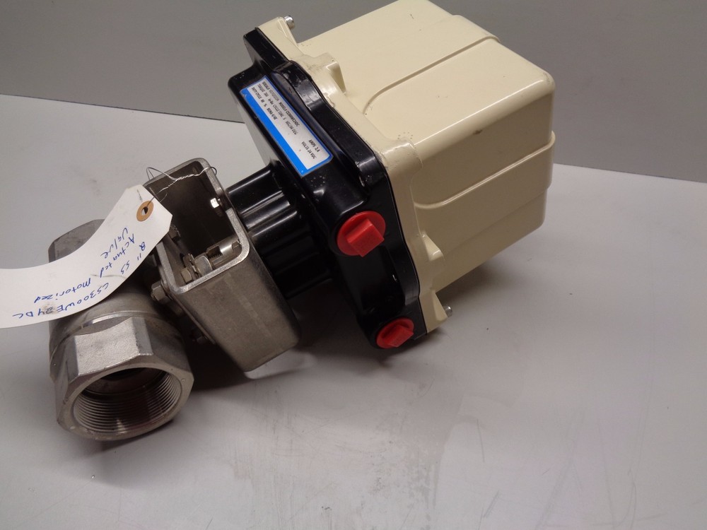 CS300WE24DC Actuated Motorized Valve