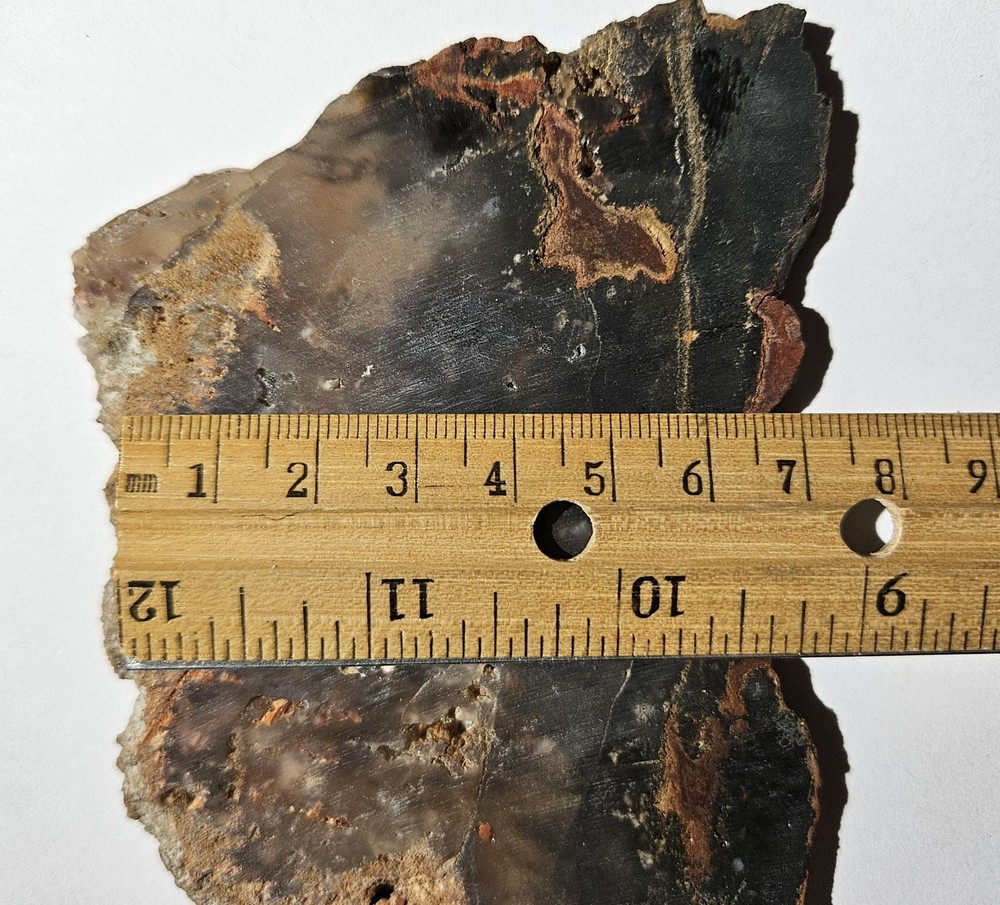Unknown Lapidary Slab 115 Grams
