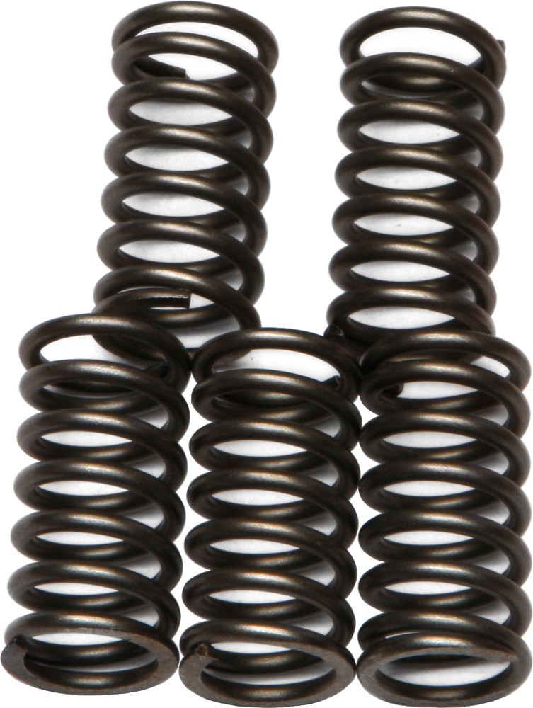 EBC CSK Clutch Spring Kit CSK65
