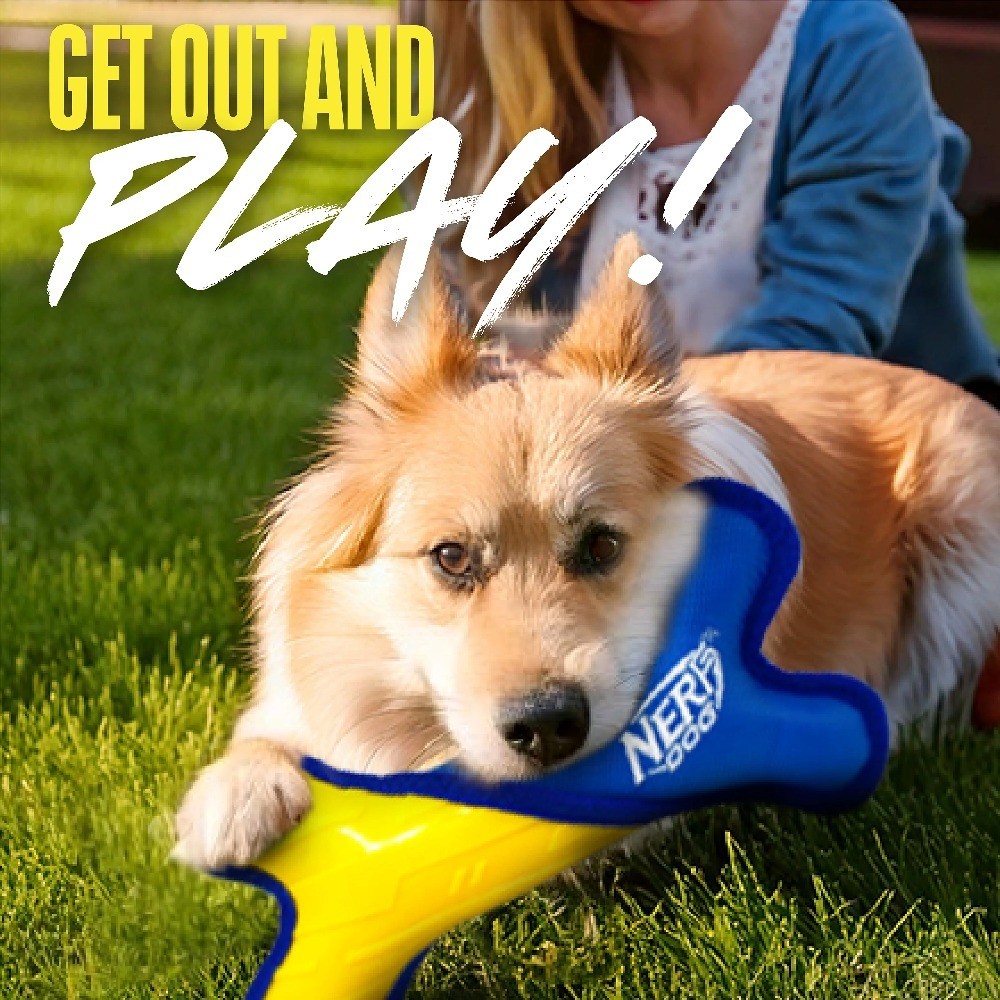 Solid Tuff Nylon Rubber Bone Dog Toy, 11 inch