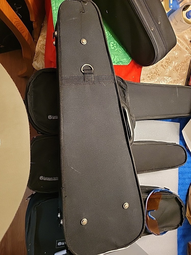 1/2 Eastman Strings Violin Case