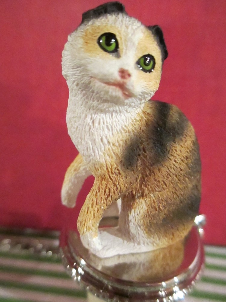 CAT SCOTTISH FOLD TORTISE  & WHITE TABBY WINE
