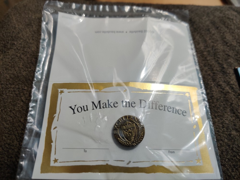 You make the difference Lapel Baudville Inc Excellence