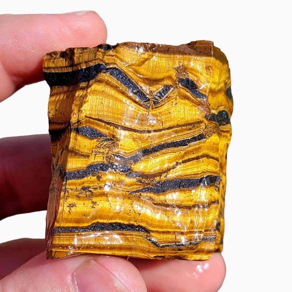 Random Pull Golden Tiger's Eye Rough!  Chatoyant Display!