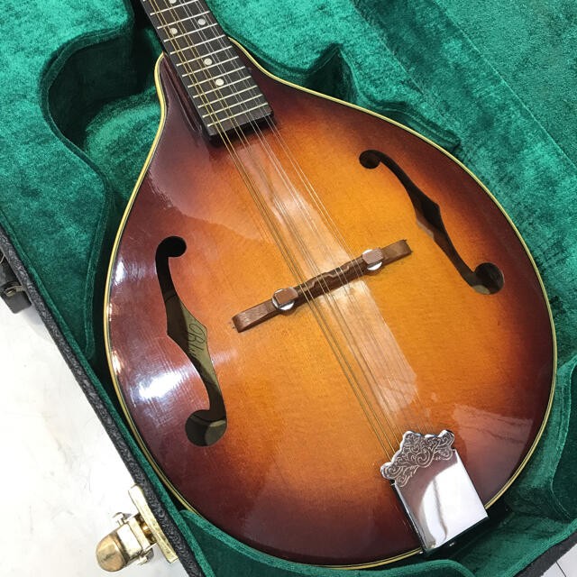 Blueridge Flat Mandolin BM300F/TS