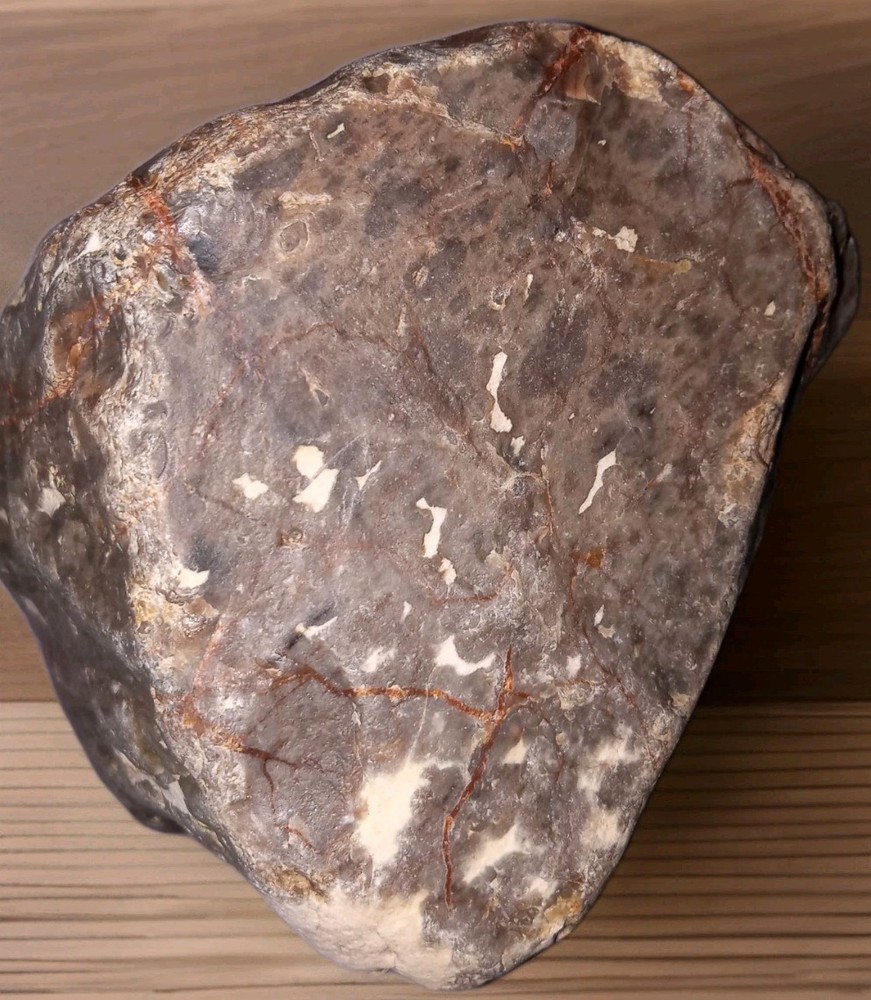 Petrified Agatized Fossilized Wood Rough 2 lbs+