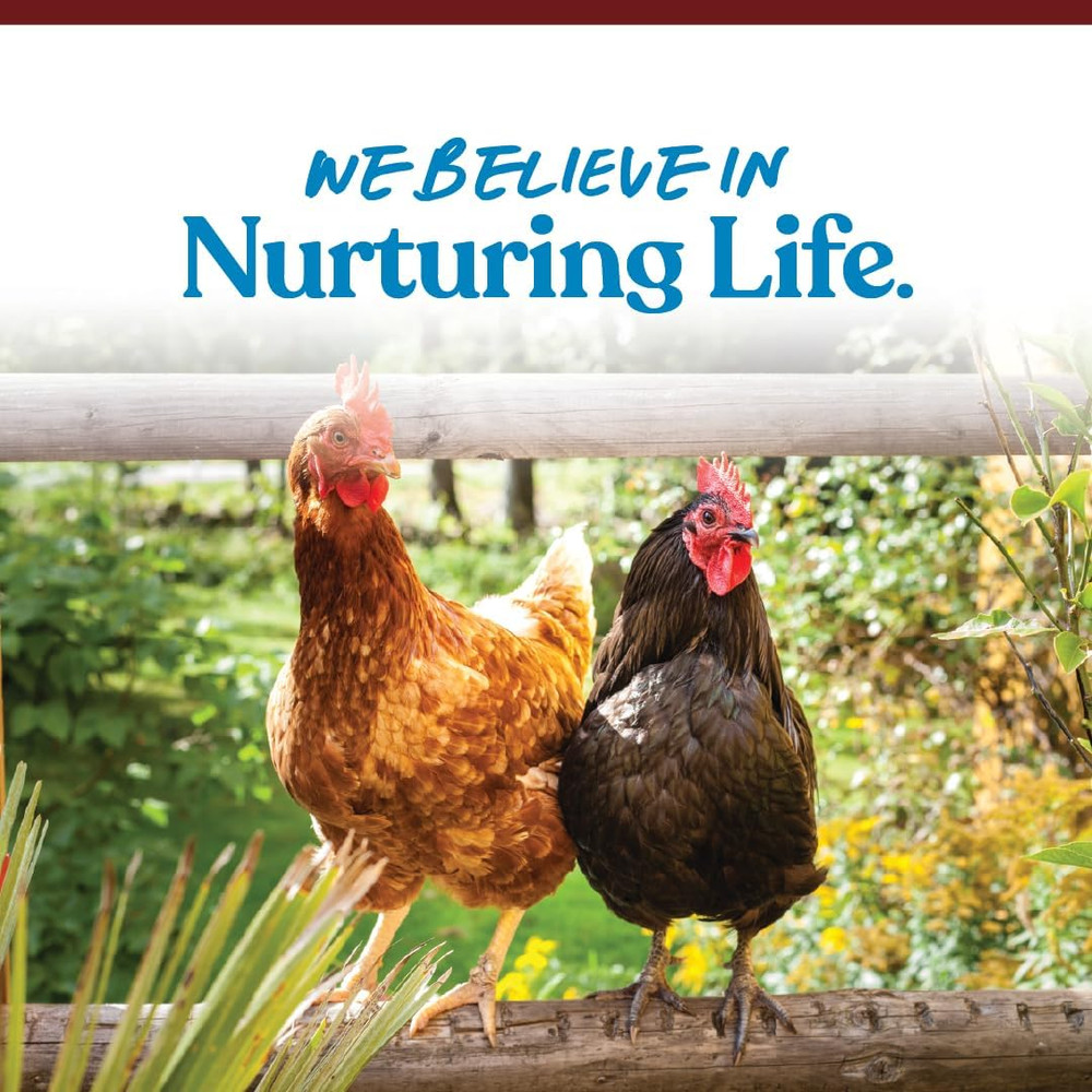 Crushed Oyster Shell | Egg-Laying Chickens | 5 LB