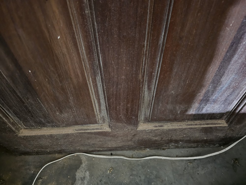 antique doors with glass