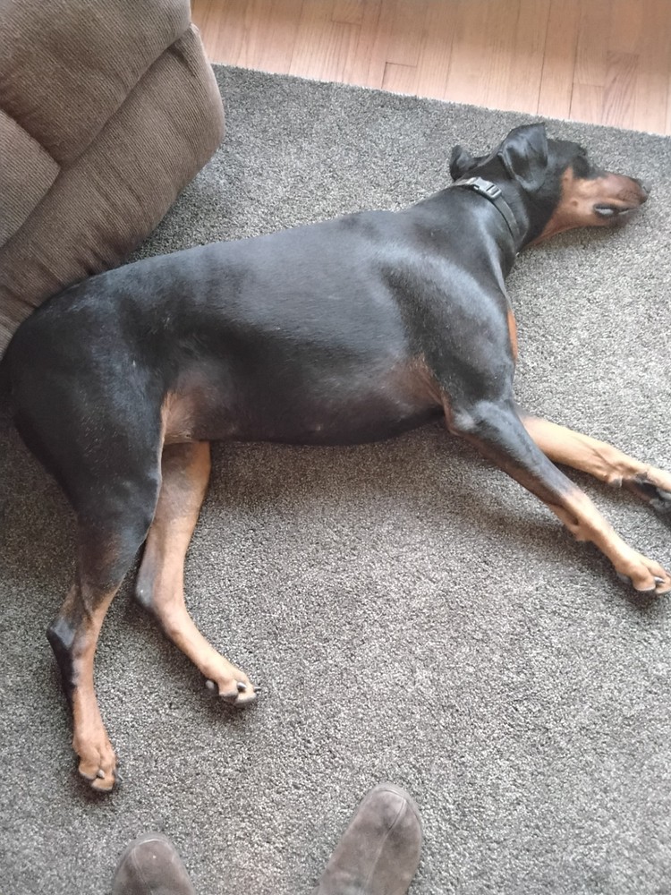 Rotary Tattoo Pen Machine