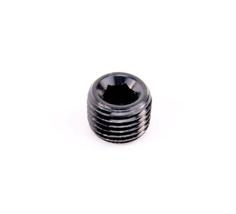 1/4" NPT Black Hex Pipe Plug