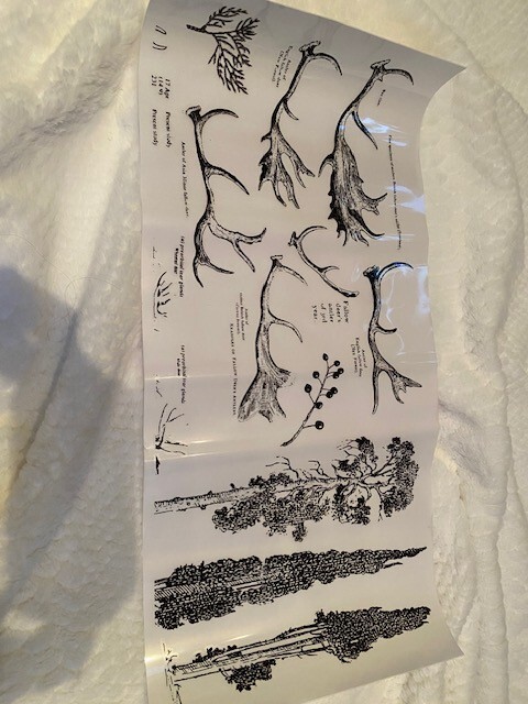 Redesign with Prima Transfer- Deer