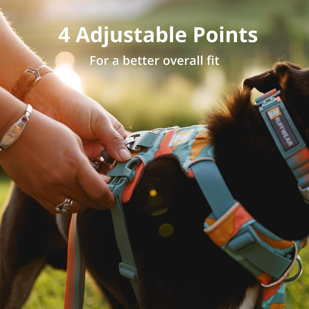 , Front Range Dog Harness, Reflective Soft Padded Everyday Harness with Dual ...