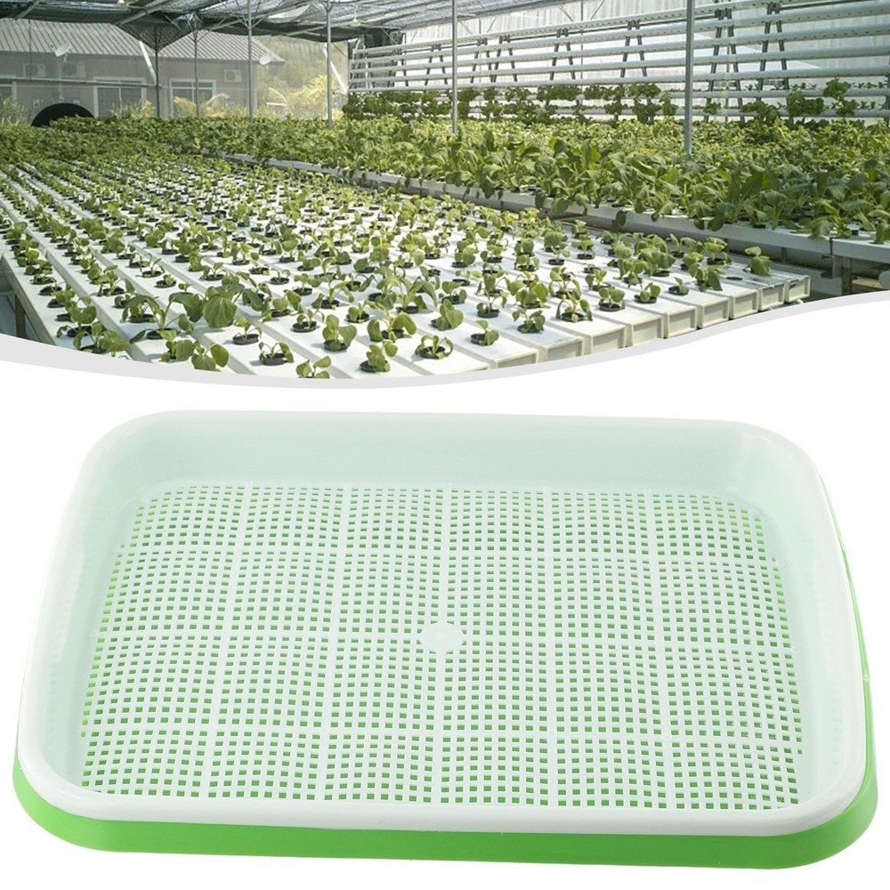 Microgreens Growing Tray Green with Second White Mesh Layer for Sprouting