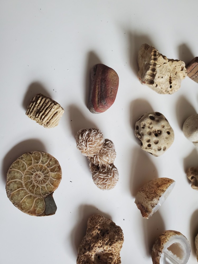 Fossile Geode And Rock Collection