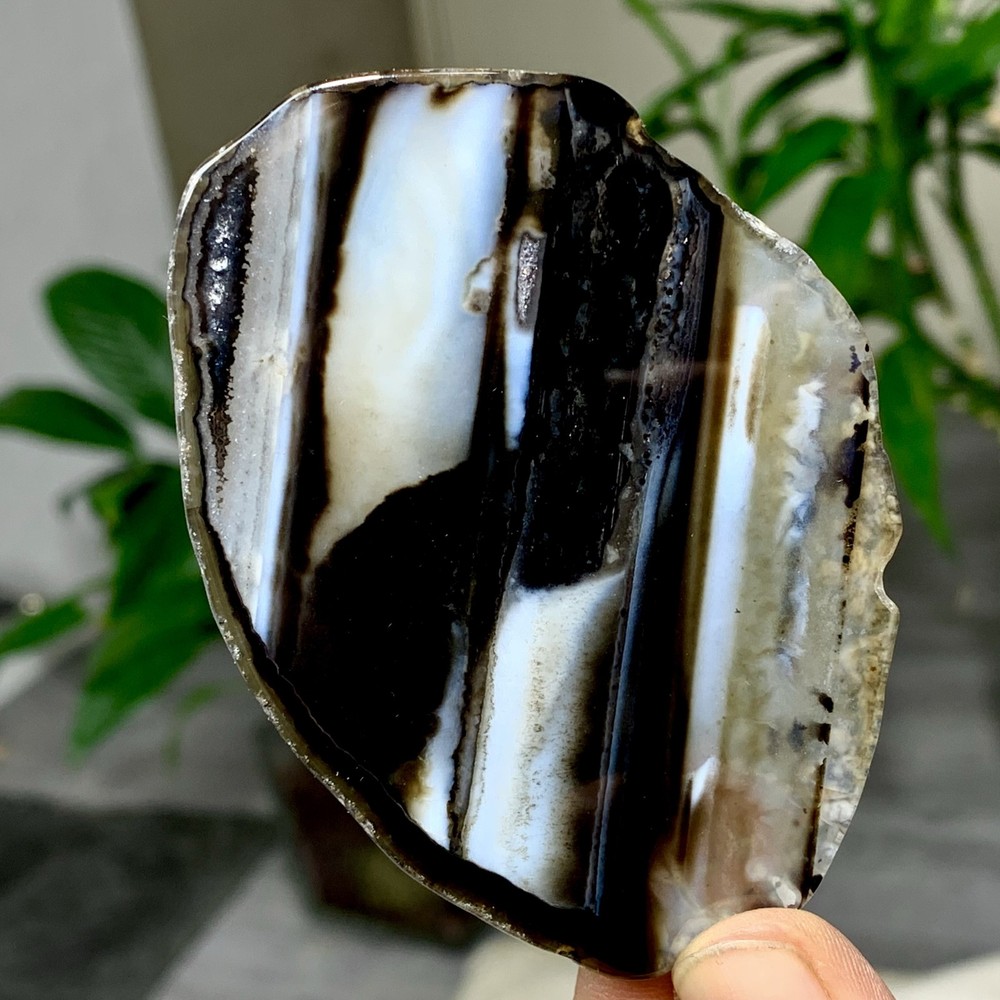 44G Natural Beautiful Agate Geode Druzy Slice Extra Large Gemstone