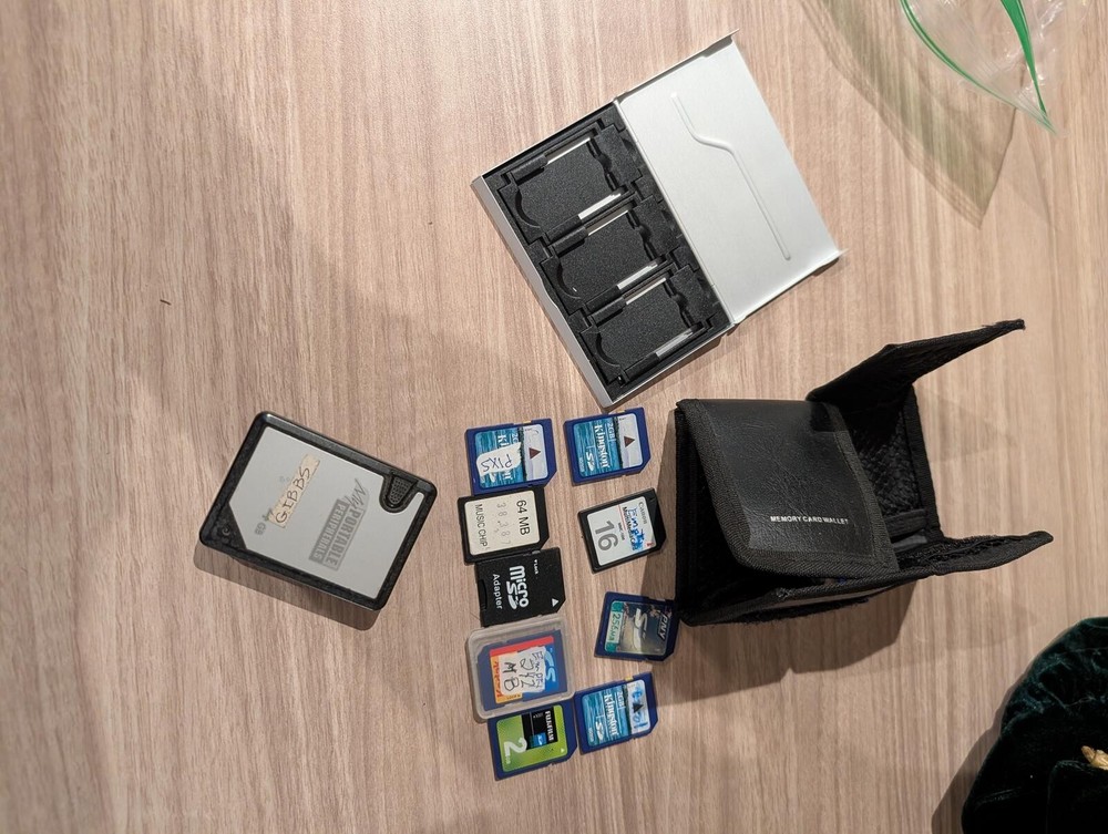 Sony Memory Card Case with Multiple SD Cards