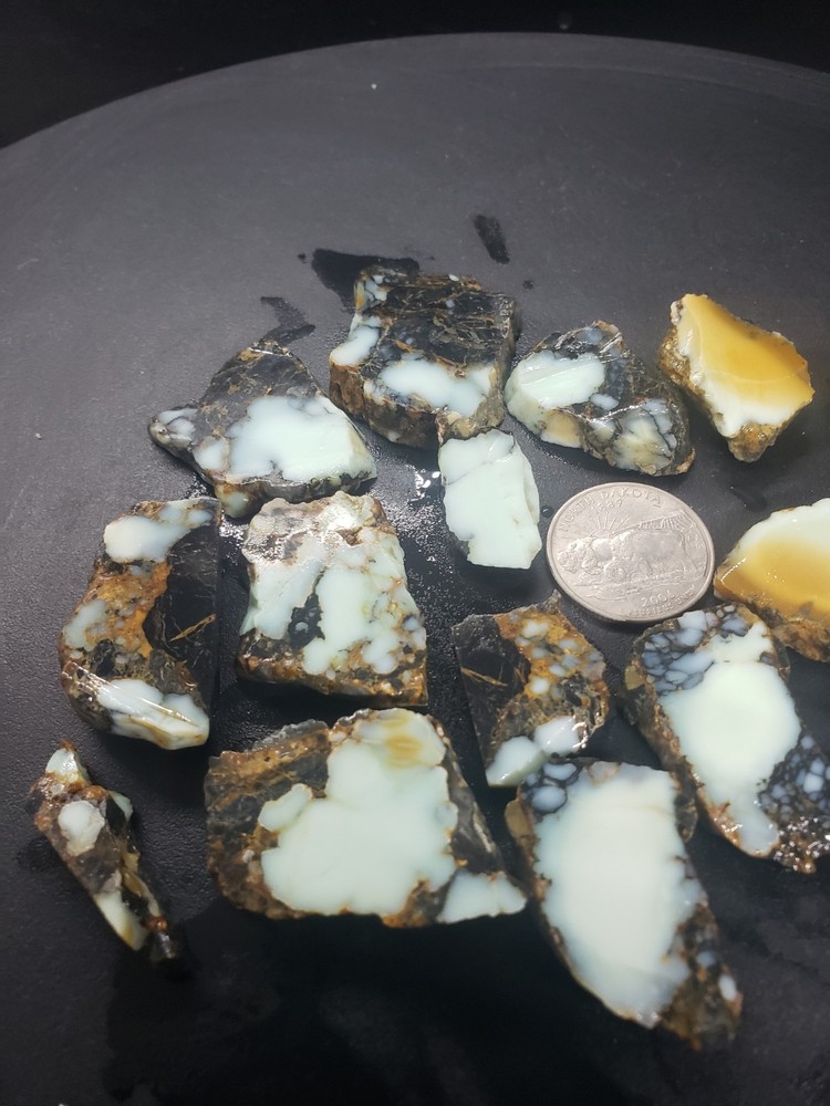 Aloe Variscite Slabs 1/4 lb