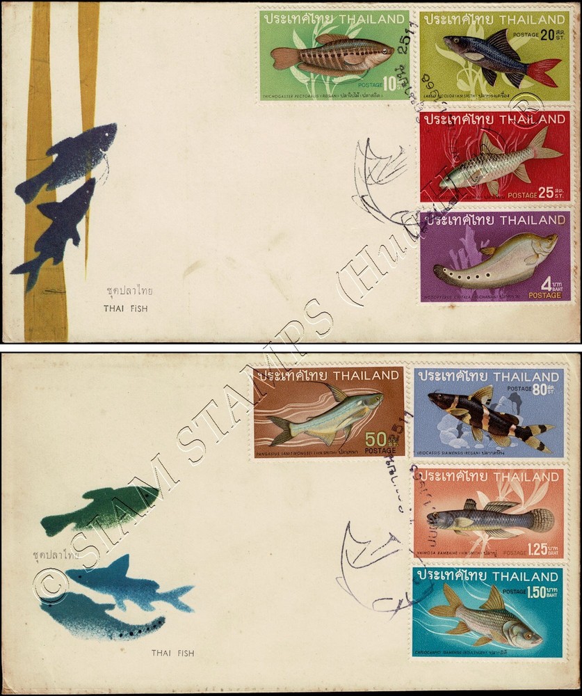 Thai fish (II) -FDC(I)-I-(II)-