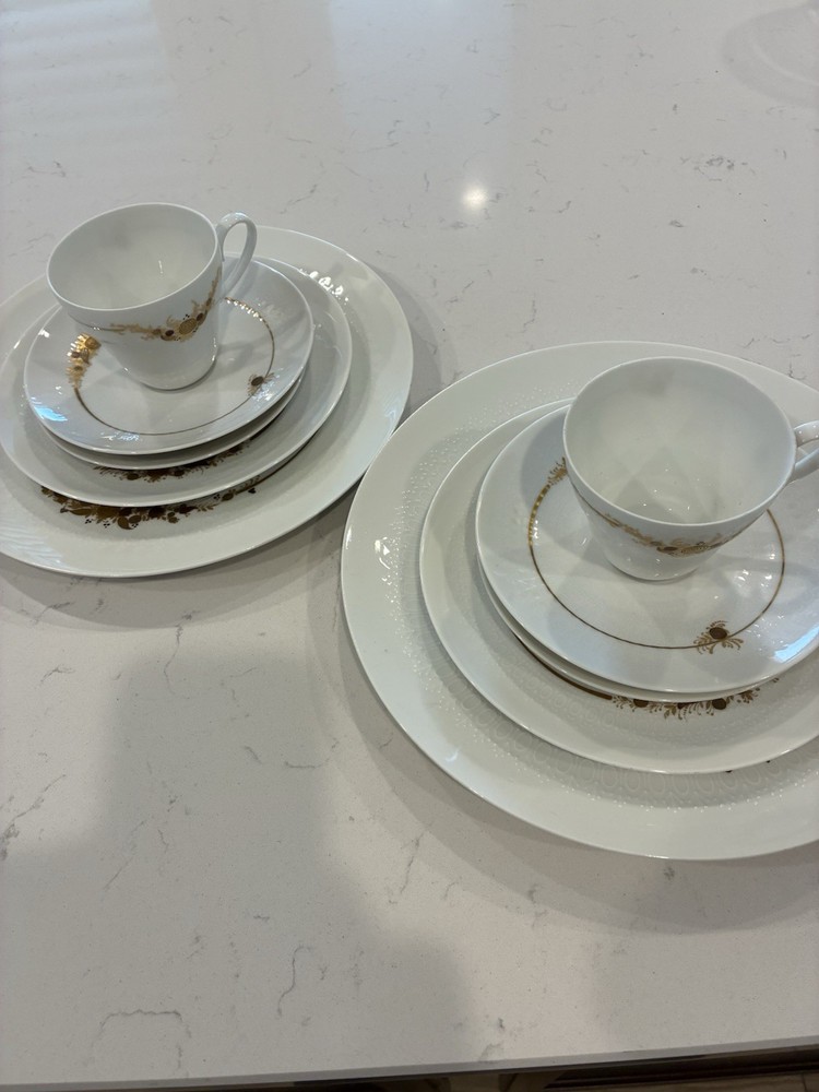Rosenthal Romantic Medley 5piece Place Settings . Two Complete Sets.