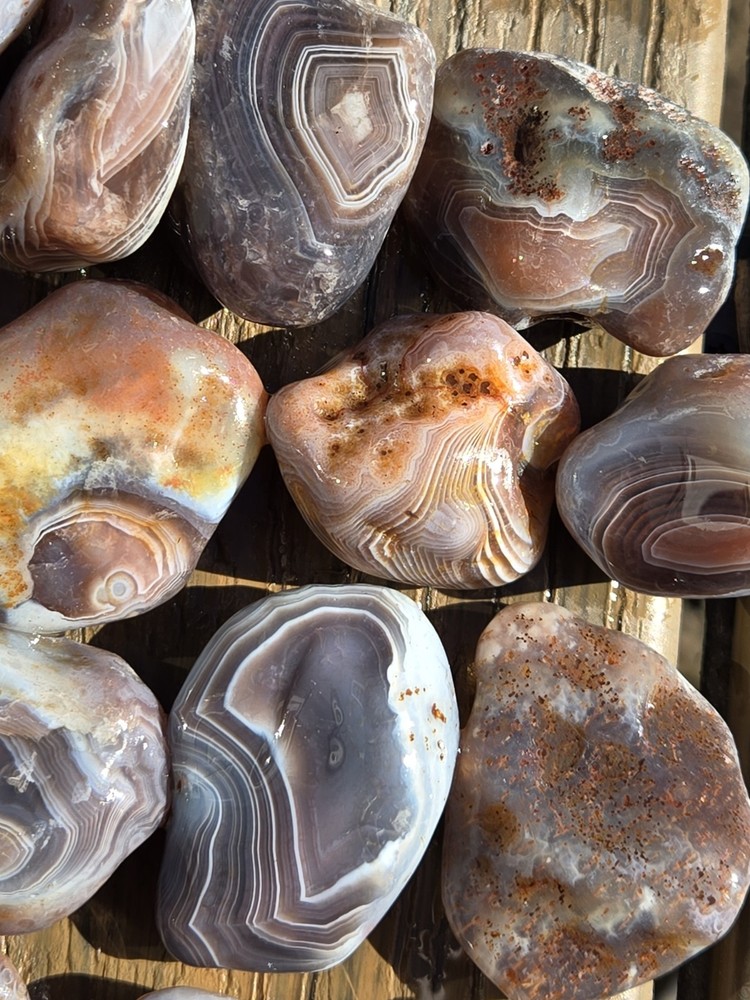 Botswana Agate Selects - SETTING SUN - Rough, Natural, Not Polished A+ Grade