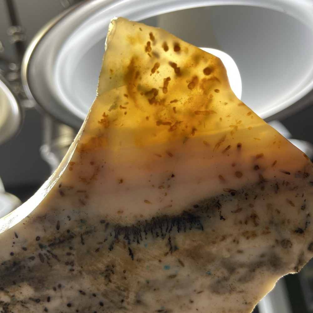 Dendrite Opal Rough Slab Unique Patterns 4.46 Oz