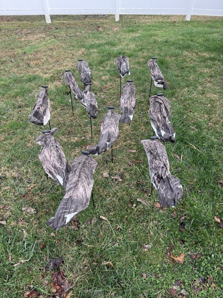 1 Dozen White Rock Canada Goose Headless Sock Deocys