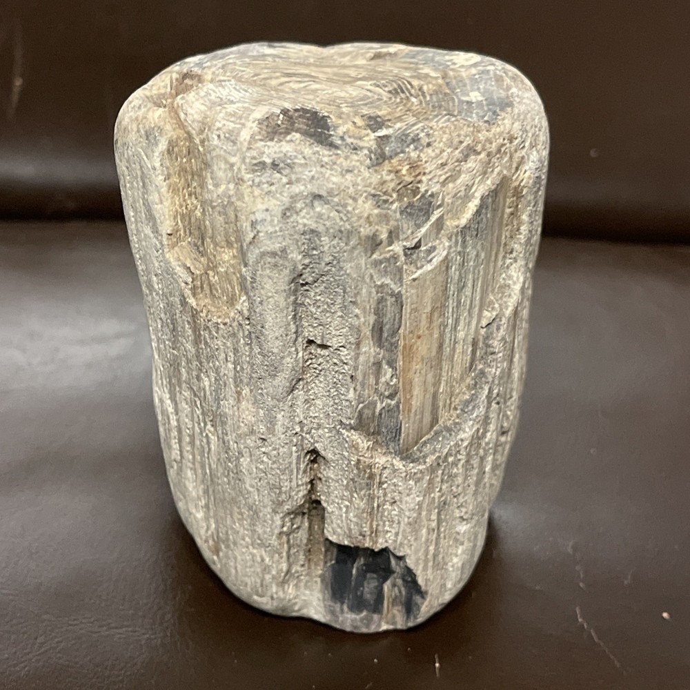 Petrified Wood 2lbs Beautiful