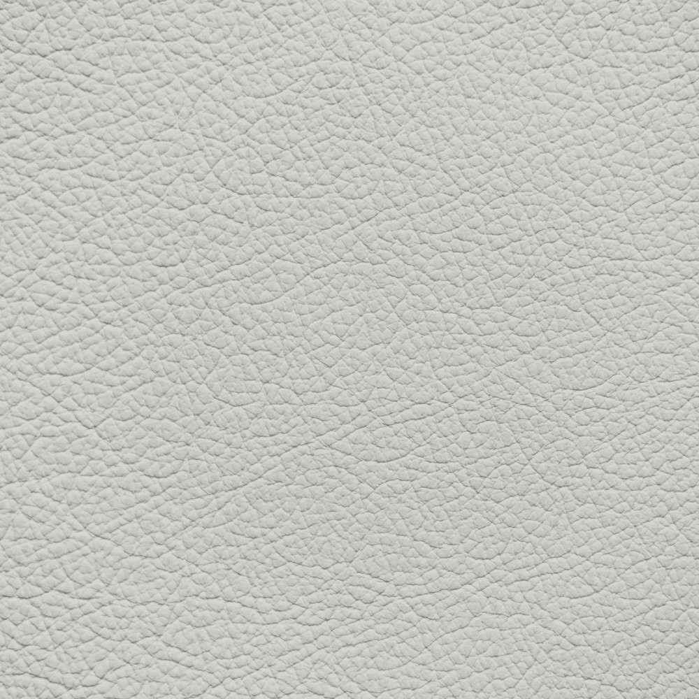Ford/Lincoln/Mercury Medium Soft Ceramic Leather Dye