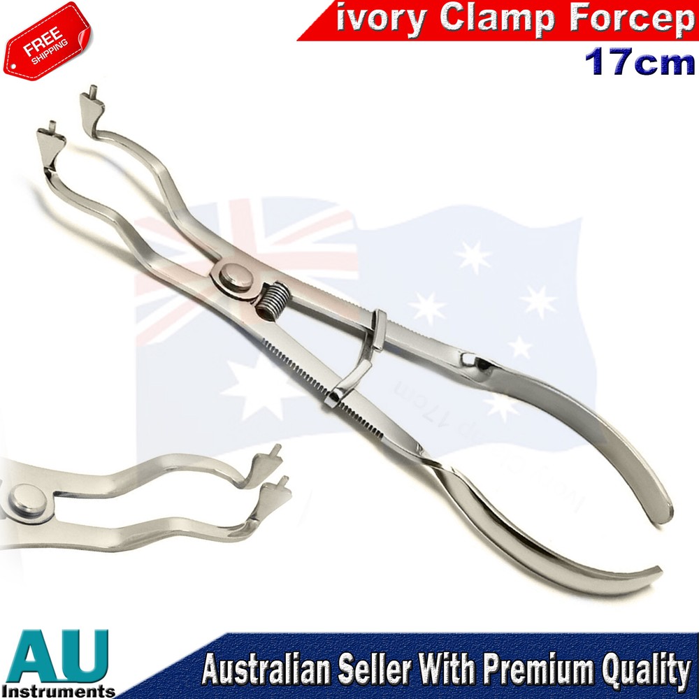 Clamps Holding Light Ivory Endodontic Rubber Dam Restorative Instruments