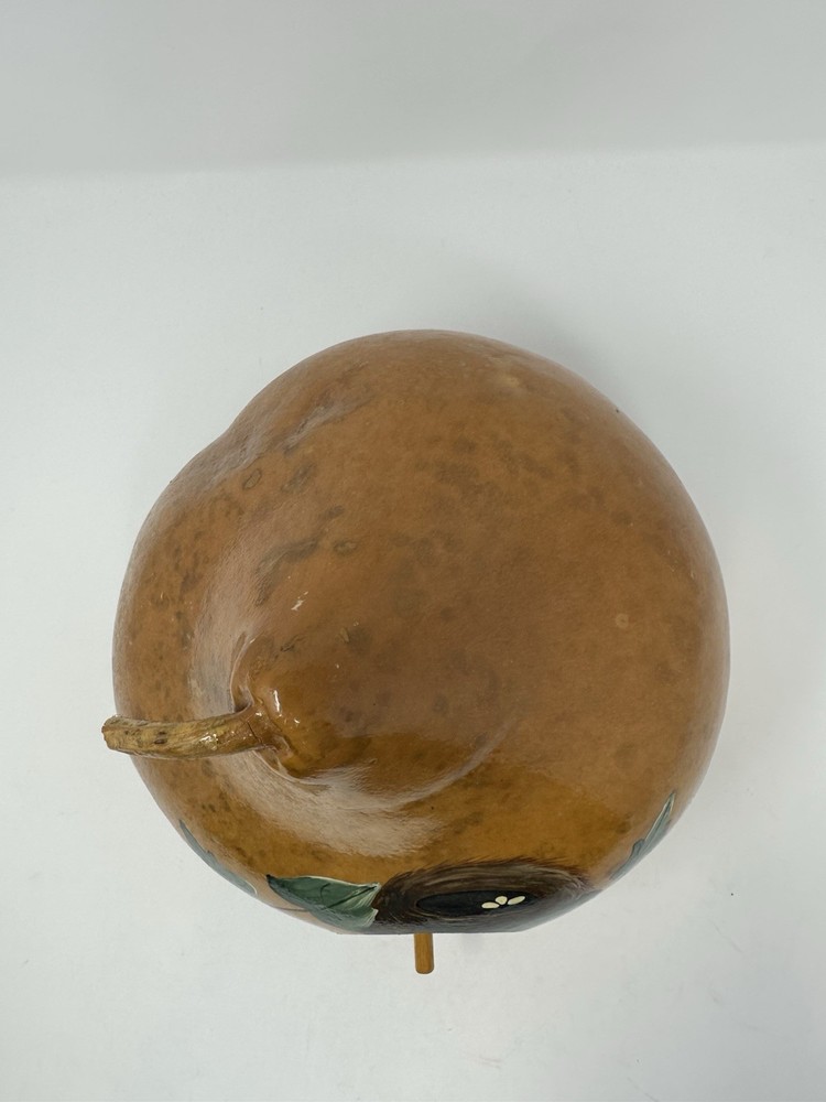 Hand Painted Gourd Birdhouse