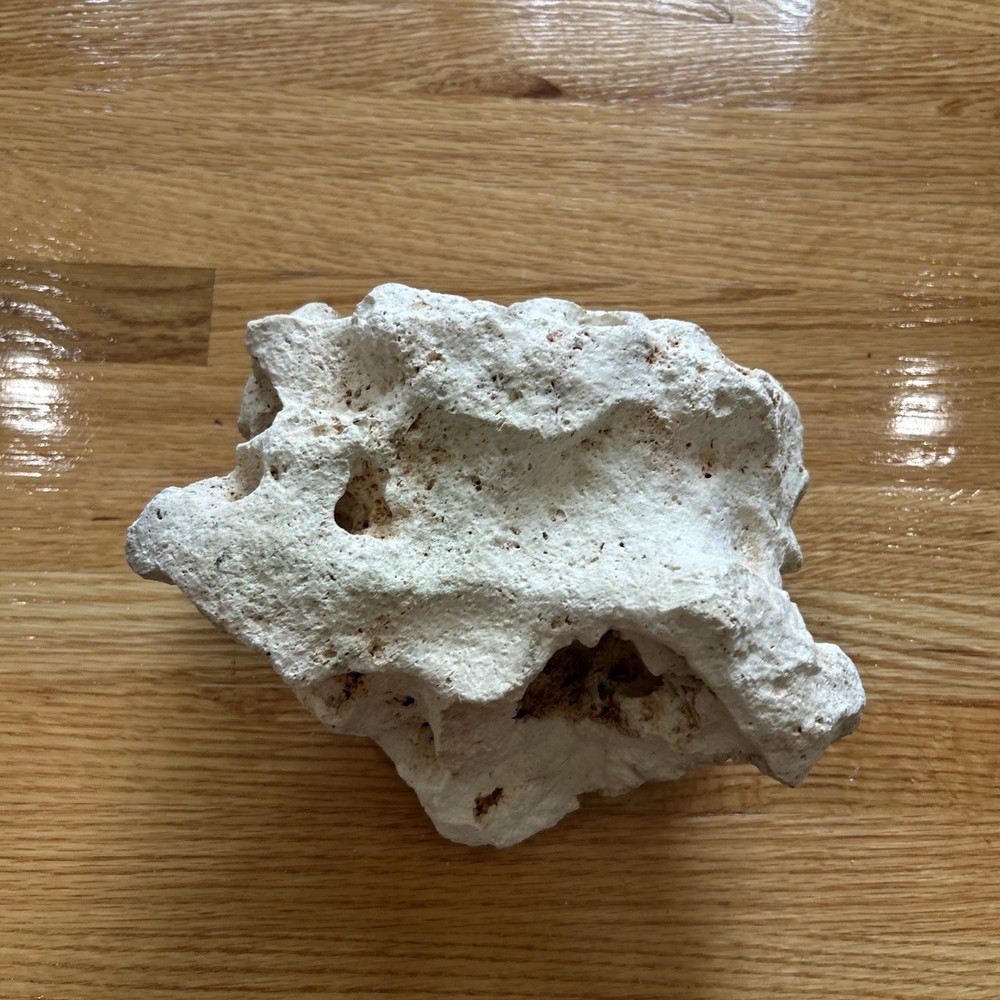 Landscaping rock for terrariums