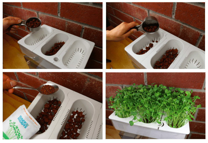 Water Garden Refill Kits