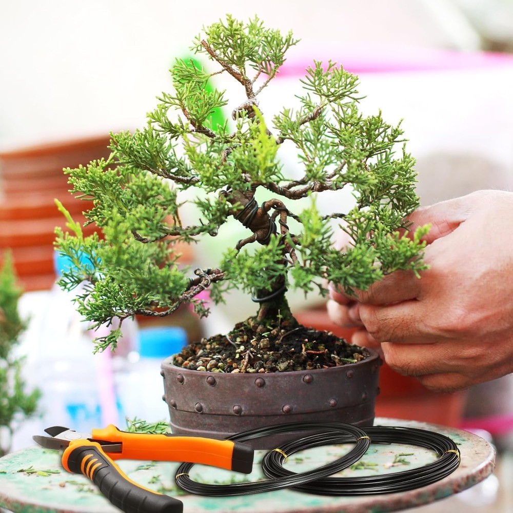 Bonsai Wire Set with 5 Rolls in Different Colors and Sizes for Tree Training