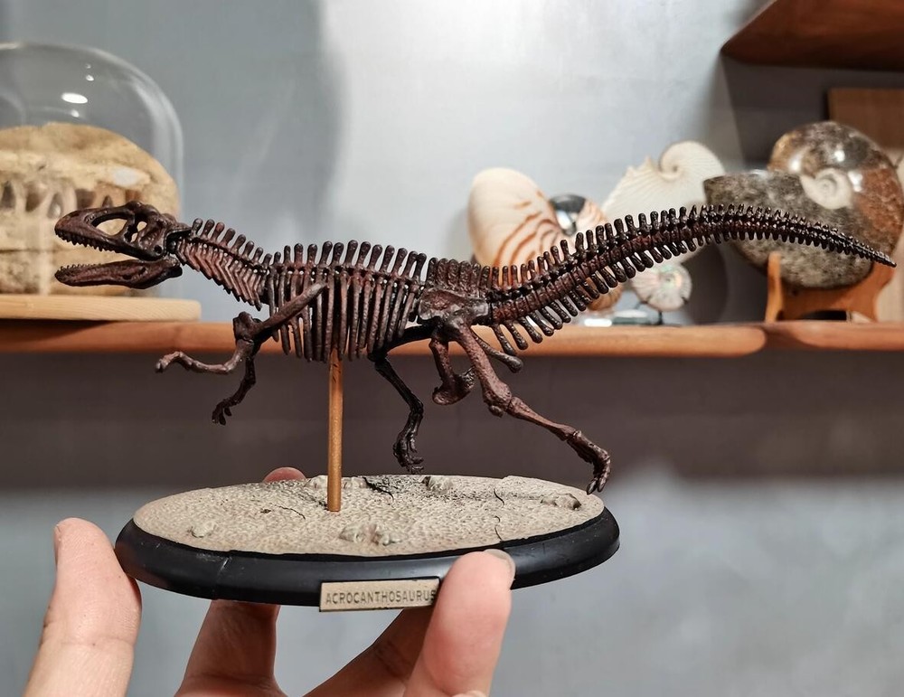 Acrocanthosaurus Skeleton Model Dinosaur Model Statue Display Animal Model