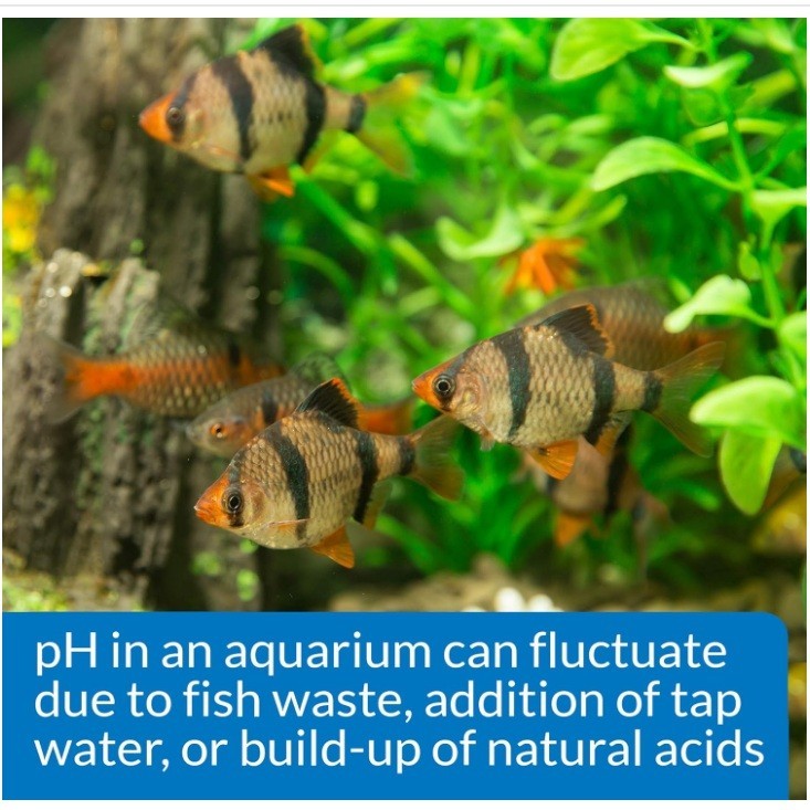 API Freshwater Aquarium pH Test Adjuster Kit 250 Tests Fish Care Solution