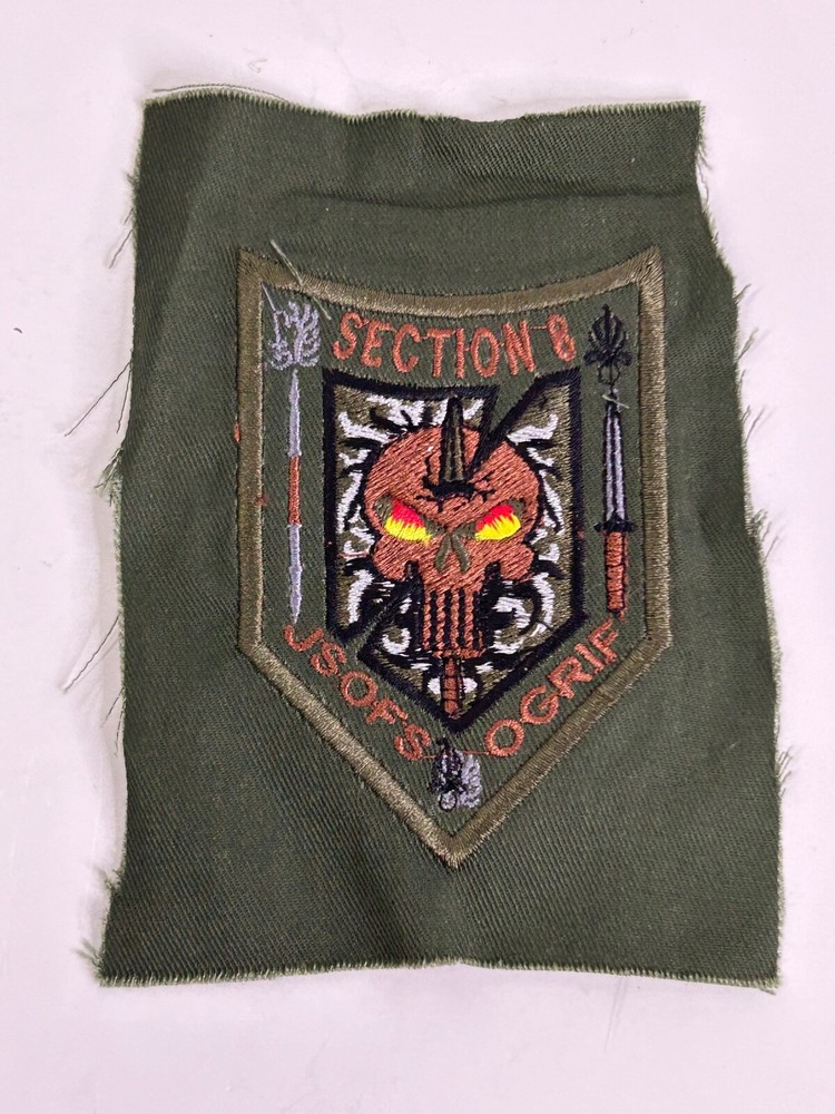 French Foreign Legion Unit Patch