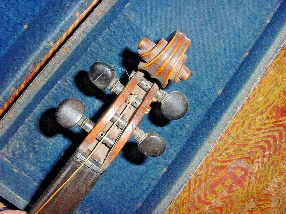 ANTIQUE LABELED STENTOR VIOLIN 19TH C ONE PIECE TIGER MAPLE BACK
