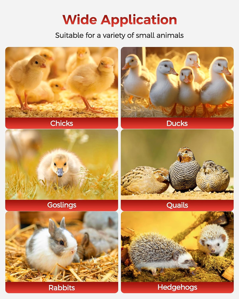 Brooder Box for Chick, Large Brooder for 15 Chicks, Breathable Mesh Ventilation,