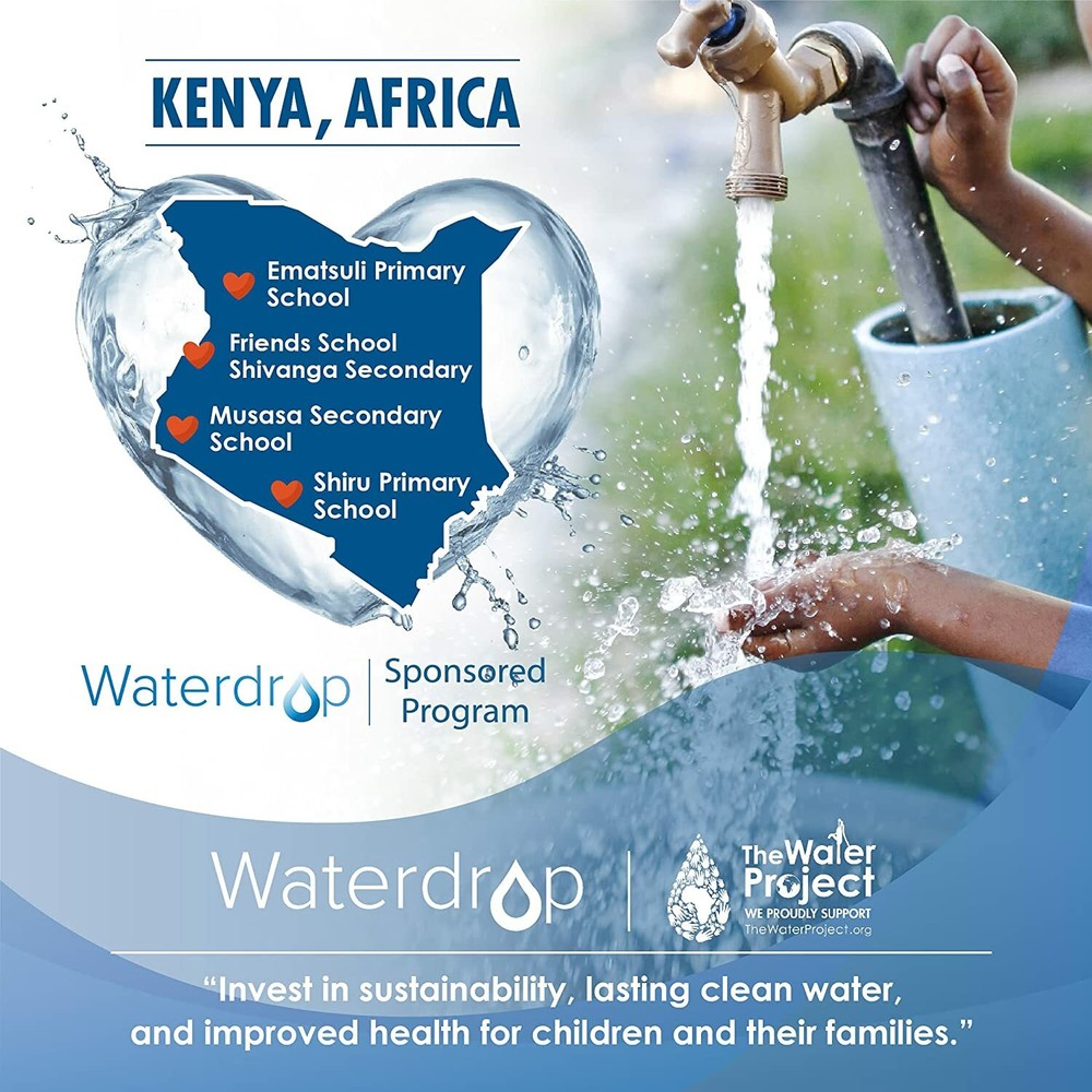 Waterdrop PureSource2® Water Filter, Replacement for WF2CB®, NGFC2000, FC100 (2)