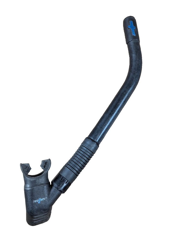 SEA QUEST SNORKEL ONLY