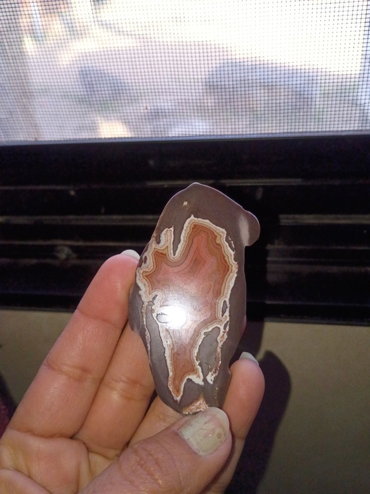 Montana Dryhead Agate Small Slab Polish