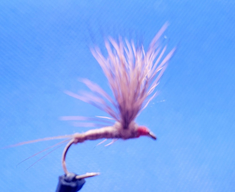 Hendrickson Comparadun Dry Fly, Comparadun, Hendrickson Compara Dun, Hendrickson