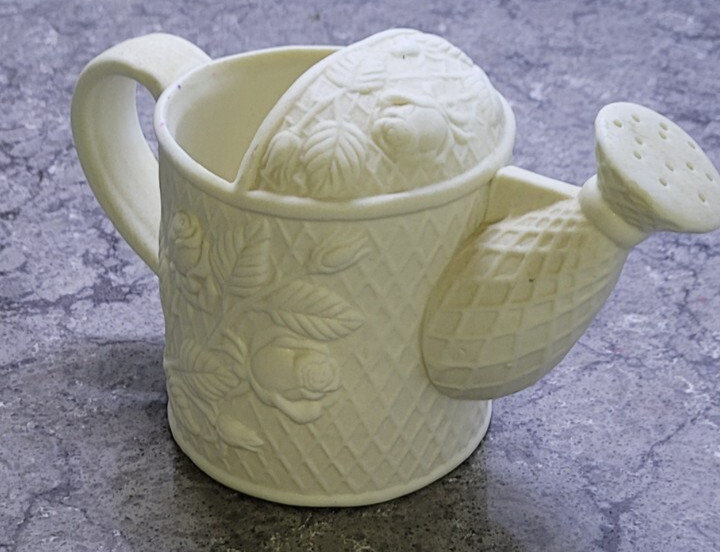 Vintage Ceramic Watering Can 4.5 Floral & Graphic Design